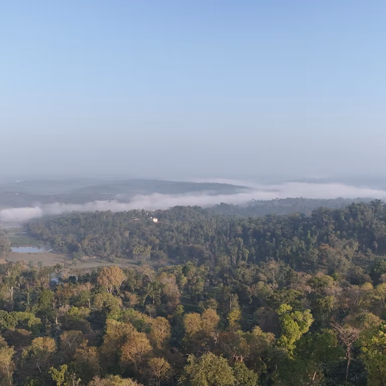 Misty hills and coffee landscape at Kuchally Coffee Estate